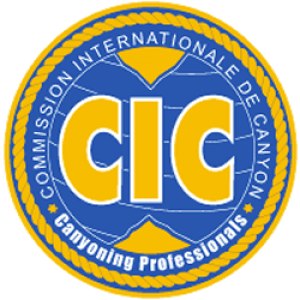 CIC